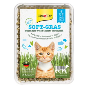 Erba > SOFT-GRAS ERBA PER GATTI 100G | GIMBORN